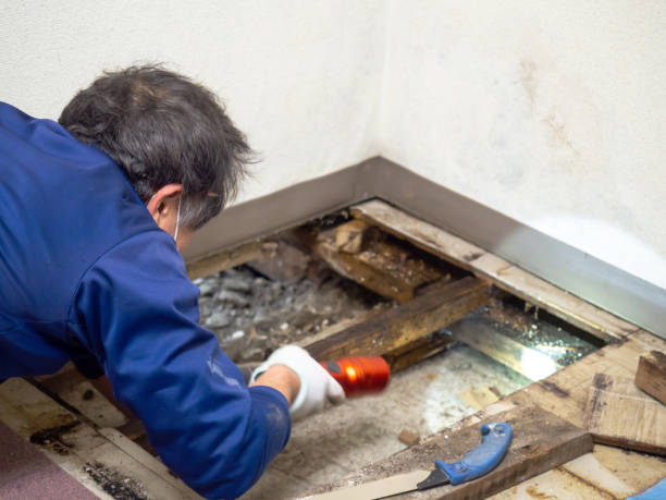 Water Damage Restoration in Landing, NJ