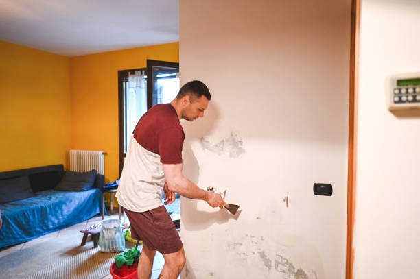 Best Mold Removal Specialists  in Landing, NJ