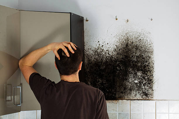 Best Mold Cleaning Services  in Landing, NJ
